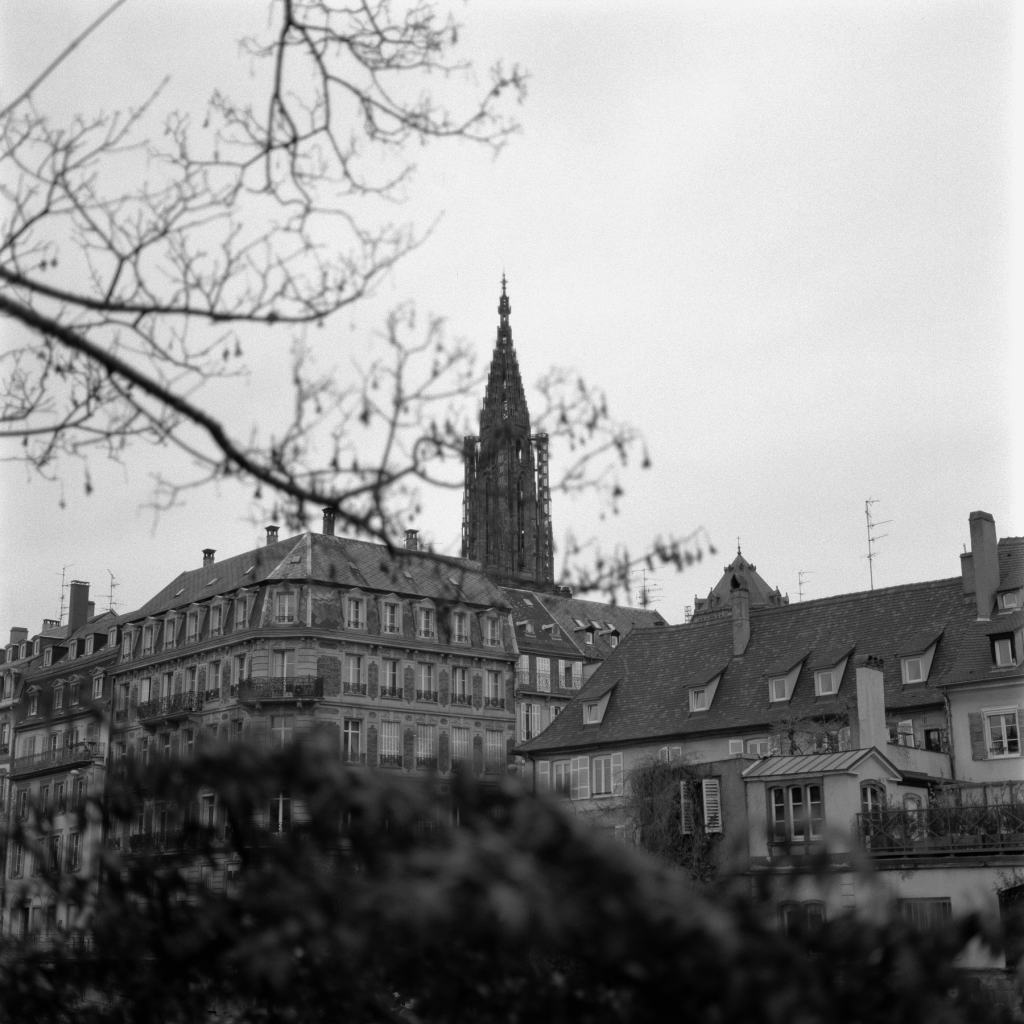 Flâner dans strasbourg